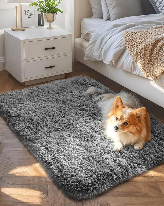 Ophanie Small Rug Upgrade Non Slip Throw Bedside Area Rugs, Fluffy Soft Grey Mini Bedroom Carpet, Affordable Door Entryway Indoor Inside Front Entrance Dog 2x3 Mat, Home Decor Aesthetic, Nursery