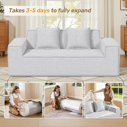 Luxanimarion 77'' Modern Small Loveseat, No Assembly Required Cloud Sofa Cloud Sofa Boneless Couches with 2 pcs Pillows for Living Room, Apartment(Polar Fleece-Grey)