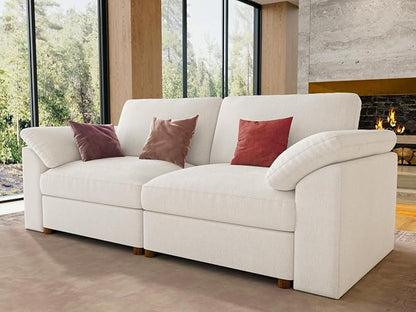 EASE MOOSE Modern Loveseat Sofa for Living Room, Comfty 2 Seat Solid Wood Frame Sofa, Modern Deep Seat Couch, Removable Cover
