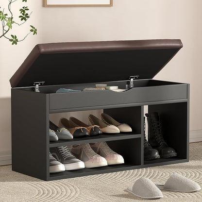 Apicizon Entryway Bench with Shoe Storage, Black, 2-Tier Shoe Rack, Padded Cushion, Wooden Frame