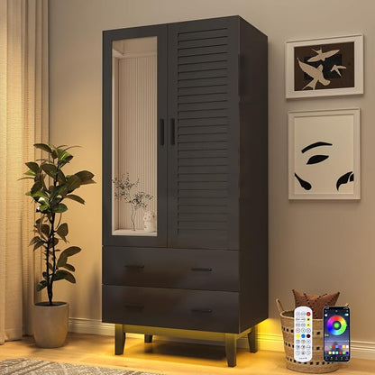 jiteentarou 2 Door Armoire Wardrobe Closet Cabinet with Drawers and LED Lights, Multi-Tier Shelves, Hanging Rod & 2 Louver Doors, Large Capacity Storage Wardrobe Armoire for Bedroom(2 Doors Black)