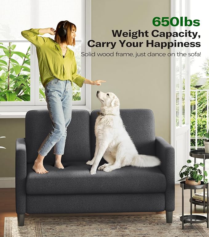 Welzona Loveseat, 51" Small Couch, Comfy Teddy Love Seat for Living Room, Tool-Free Setup Loveseat Sofa for Small Spaces, All-Wood Small Sofa Couch for Bedroom, Grey