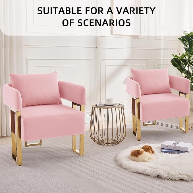 YISHENG Modern Barrel Accent Chairs Set of 2, Living Room Side Chairs with Golden Metal Legs Velvet Upholstered Reading Armchairs no Wheels for Vanity/Reception Room//Bedroom/Lounge/Office, Pink
