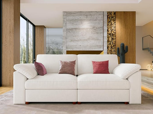 EASE MOOSE Modern Loveseat Sofa for Living Room, Comfty 2 Seat Solid Wood Frame Sofa, Modern Deep Seat Couch, Removable Cover