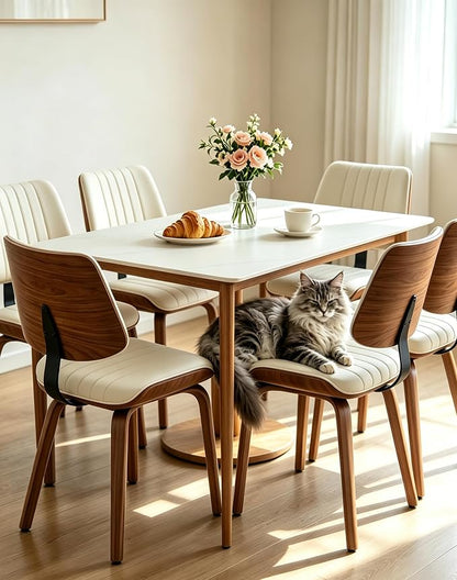 Armless Dining Chairs Set of 6, Walnut Beige | Set of 6 armless chairs with walnut bentwood back and warm beige upholstery. Great for family dining rooms