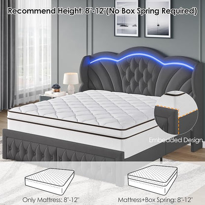Keyluv Queen Bed Frame with LED Lights and 2 Storage Drawers, Velvet Upholstered Platform with 47" Tall Arc-Shaped Wingback Headboard and Button Tufted Design, No Box Spring Needed, Noise-Free, Gray