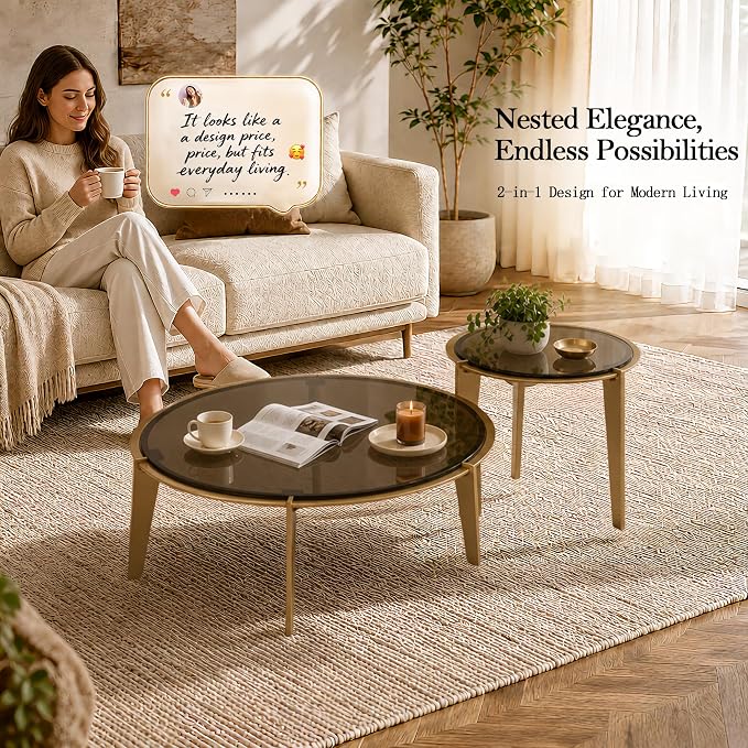 Nesting Coffee Table Set of 2, Organic Round Smoked Glass Tables with 8mm Tempered Glass, Champagne Gold Steel Frame, Sculptural Modern Accent Tables for Living Room, Apartment
