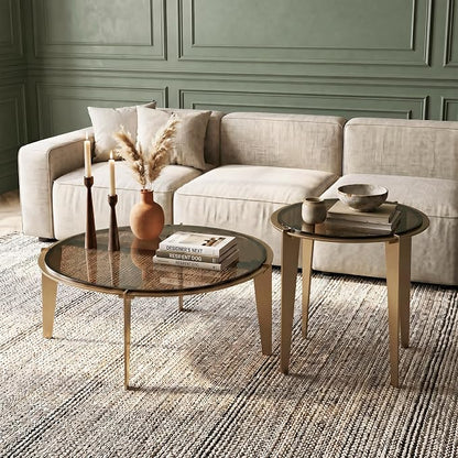 Nesting Coffee Table Set of 2, Organic Round Smoked Glass Tables with 8mm Tempered Glass, Champagne Gold Steel Frame, Sculptural Modern Accent Tables for Living Room, Apartment