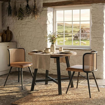 TYBOATLE Farmhouse Rattan Dining Chairs Set of 2 (Brown) | Boho, Natural Cane Woven Back, Faux Leather Seat, Metal Legs, Upholstered, Kitchen, Dining Room
