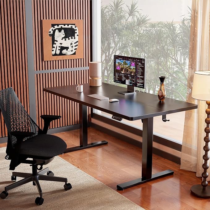 ErGear Height Adjustable Electric Standing Desk, 44 x 24 Inches Sit Stand up Desk, Memory Computer Home Office Desk, Black