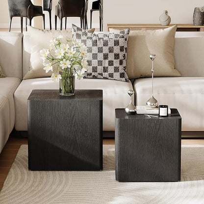 Nesting Coffee Table Set of 2, Modern Coffee Table and End Table Sets, Small Wooden Nesting Side Tables for Living Room Bedroom Apartment(Black)