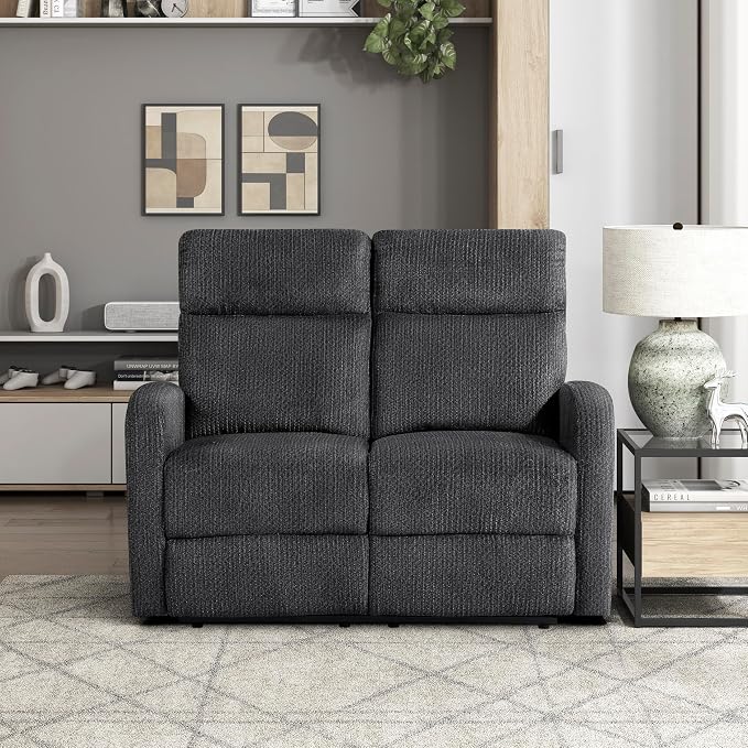 Lexicon Manual Reclining Loveseat, Textured Microfiber Loveseat Recliner, Wall Hugger, Track Arms, Magazine Pockets, Manual Dual Recliners for Living Room/Office/Apartment, Easy Assembly, Dark Gray