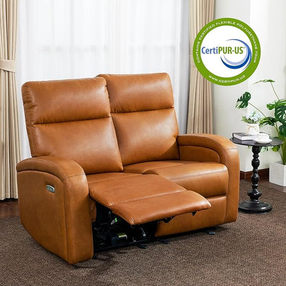 MCombo Zero Wall Recliner Loveseat, 2-Seat Power Wall Hugger Sofa with USB & Type-C Dual Ports, for Small Space, Living Room, RV PR646 (Cognac Brown, Loveseat)