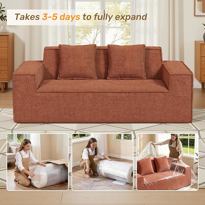 Luxanimarion 77'' Modern Small Loveseat, No Assembly Required Cloud Sofa Cloud Sofa Boneless Couches with 2 pcs Pillows for Living Room, Apartment(Polar Fleece-Brown)