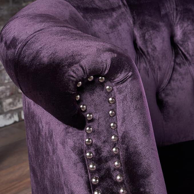 Christopher Knight Home GDFStudio Melaina Tufted Chesterfield Velvet Loveseat with Scrolled Arms, BlackBerry and Dark Brown
